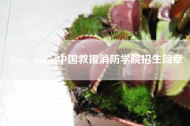 巢湖中国救援消防学院招生简章