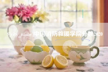 巢湖中国消防救援学院分数2020