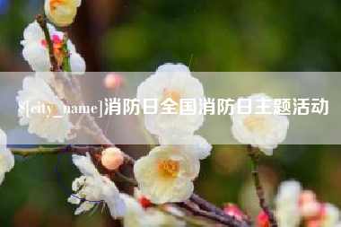 巢湖消防日全国消防日主题活动