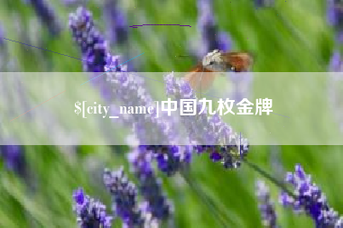 巢湖中国九枚金牌