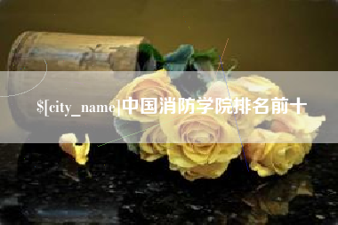 巢湖中国消防学院排名前十