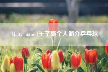 巢湖王子豪个人简介乒乓球