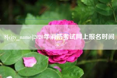 巢湖2020年消防考试网上报名时间
