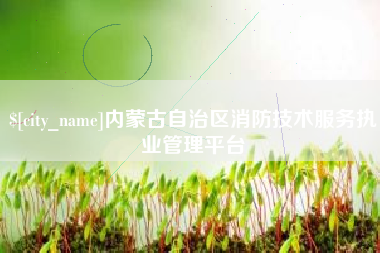 巢湖内蒙古自治区消防技术服务执业管理平台