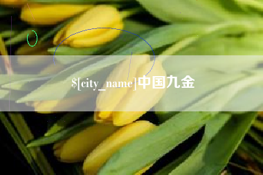 巢湖中国九金