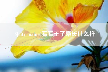 巢湖看看王子豪长什么样