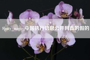 巢湖中国执行信息公开网真的假的
