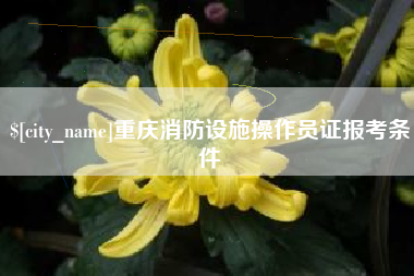 巢湖重庆消防设施操作员证报考条件