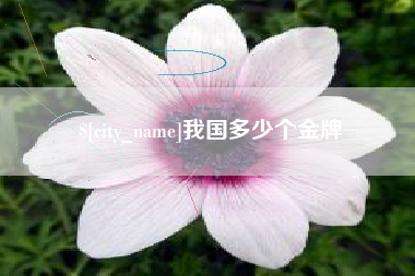 巢湖我国多少个金牌