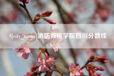 巢湖消防救援学院四川分数线