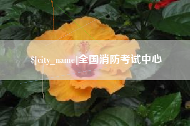 巢湖全国消防考试中心
