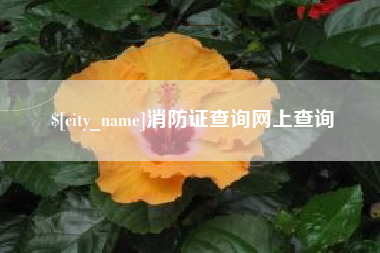巢湖消防证查询网上查询