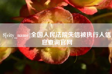 巢湖全国人民法院失信被执行人信息查询官网