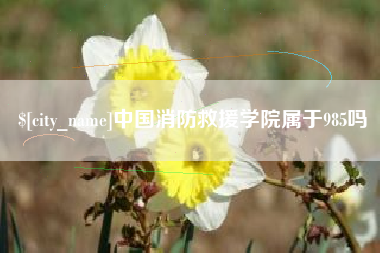 巢湖中国消防救援学院属于985吗