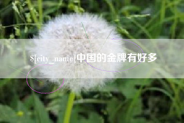 巢湖中国的金牌有好多