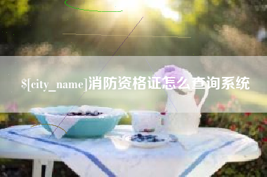 巢湖消防资格证怎么查询系统
