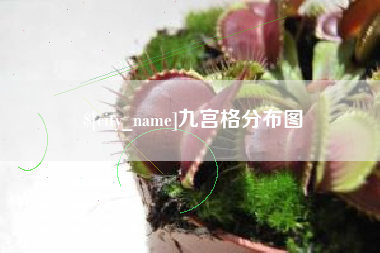 巢湖九宫格分布图