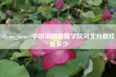 巢湖中国消防救援学院河北分数线是多少