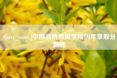 巢湖中国消防救援学院历年录取分数线
