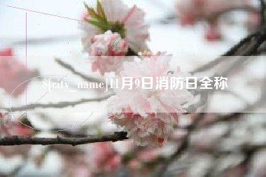 巢湖11月9日消防日全称