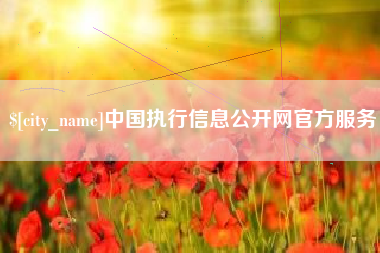 巢湖中国执行信息公开网官方服务