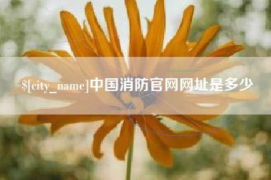 巢湖中国消防官网网址是多少