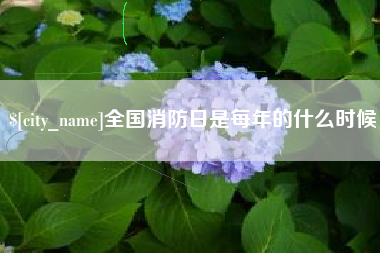 巢湖全国消防日是每年的什么时候