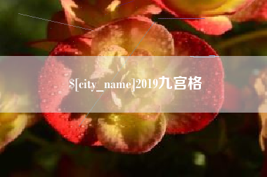巢湖2019九宫格
