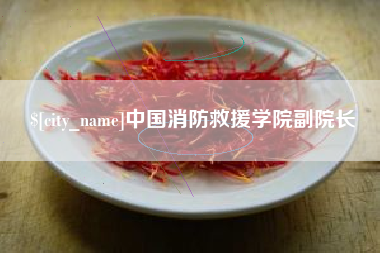 巢湖中国消防救援学院副院长