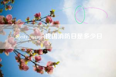 巢湖我国消防日是多少日