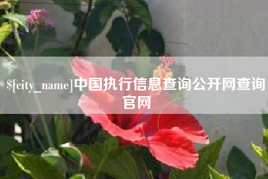 巢湖中国执行信息查询公开网查询官网