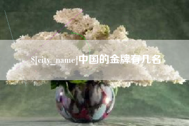 巢湖中国的金牌有几名