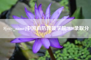 巢湖中国消防救援学院2020录取分
