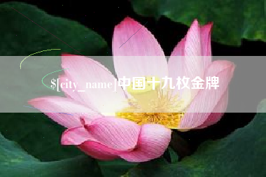 巢湖中国十九枚金牌