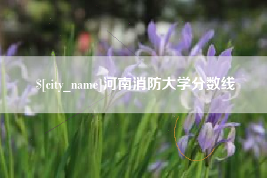 巢湖河南消防大学分数线