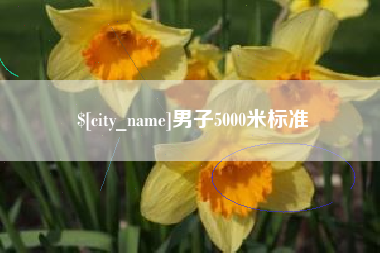 巢湖男子5000米标准