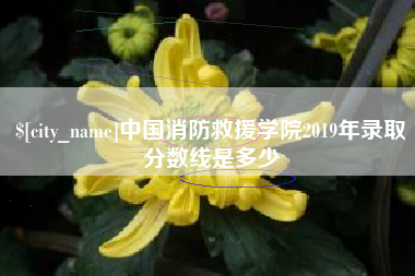 巢湖中国消防救援学院2019年录取分数线是多少