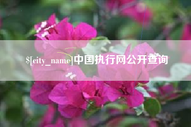 巢湖中国执行网公开查询