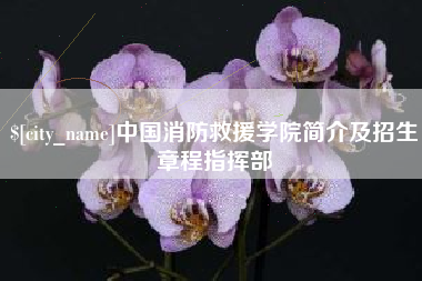 巢湖中国消防救援学院简介及招生章程指挥部