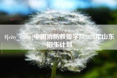 巢湖中国消防救援学院2021年山东招生计划
