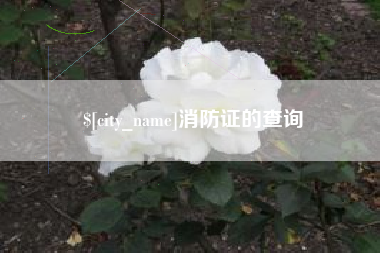 巢湖消防证的查询