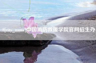 巢湖中国消防救援学院官网招生办
