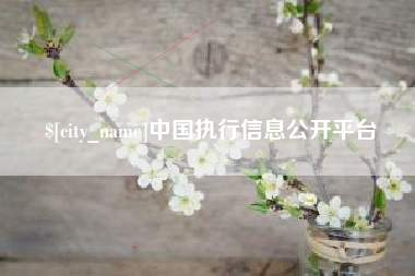 巢湖中国执行信息公开平台