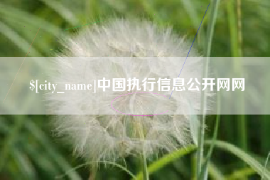 巢湖中国执行信息公开网网