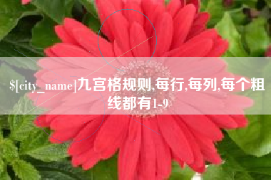巢湖九宫格规则,每行,每列,每个粗线都有1-9