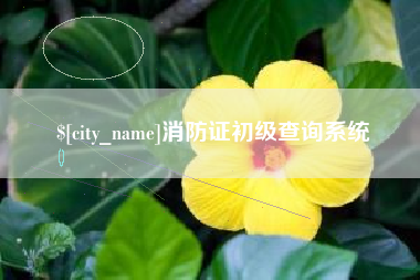 巢湖消防证初级查询系统