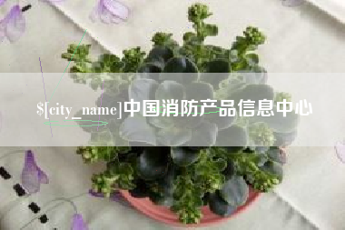 巢湖中国消防产品信息中心