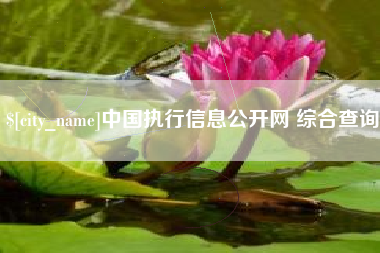 巢湖中国执行信息公开网 综合查询