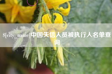 巢湖中国失信人员被执行人名单查询