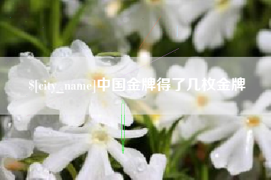 巢湖中国金牌得了几枚金牌